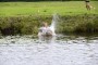 Thumbs/tn_Baggerloop 2015 196.jpg